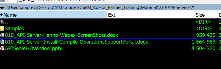 c:\ sers\alaptev\Desktop\11M Course\OnelM_AdHoc *Name Samples Ext • 010 API-Server-Hanno-Webex-ScreenShots.docx • 010 API-Server-Install-Compile-OperationsSupportPortal.docx APIServer-Overview.pptx Size 959 435 2 1 664 989 0 4 504 320 0 